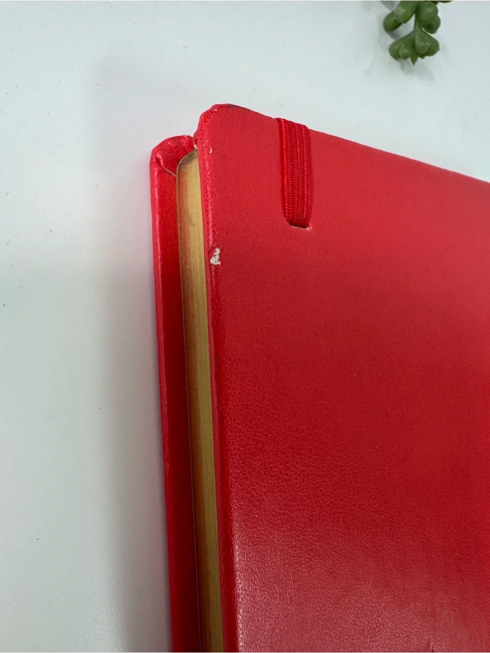 Kate Spade Take Note Lined Notebook Paint the Town Red Journal